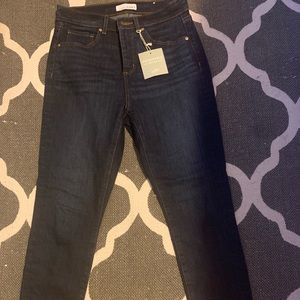 Loft Skinny Jean